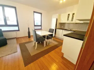 Pronájem bytu 1+kk, Praha - Žižkov, Baranova, 40 m2