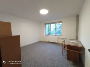 Pronájem rodinného domu, Příbram, Na Výsluní, 193 m2