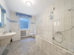 Prodej chalupy, Oloví - Hory, 105 m2