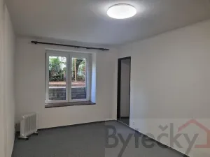Pronájem bytu 1+1, Praha - Strašnice, Srbínská, 24 m2