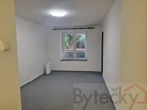 Pronájem bytu 1+1, Praha - Strašnice, Srbínská, 24 m2