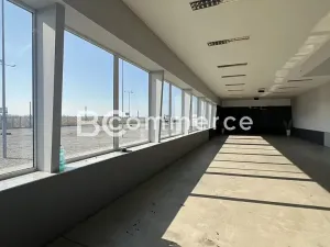Pronájem obchodního prostoru, Pohořelice, 3700 m2