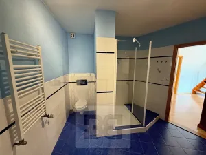Prodej bytu 5+kk, Praha - Košíře, Černochova, 184 m2