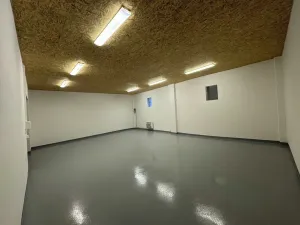 Pronájem skladu, Praha - Horní Počernice, Bystrá, 74 m2