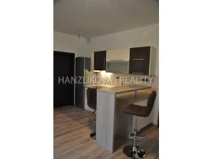 Pronájem bytu 2+kk, České Budějovice - České Budějovice 2, Volejbalistů, 48 m2