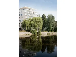Pronájem bytu 2+kk, České Budějovice - České Budějovice 2, Volejbalistů, 48 m2