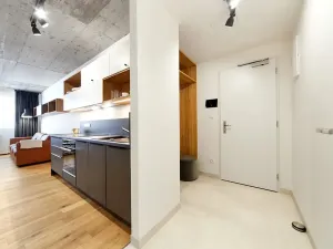 Pronájem bytu 2+kk, Brno, Cejl, 48 m2