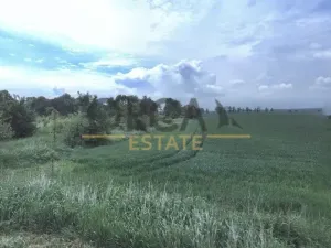 Prodej podílu pole, Uherský Ostroh, 552 m2