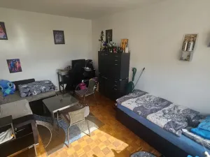 Prodej bytu 1+1, Strakonice - Strakonice II, Dukelská, 35 m2