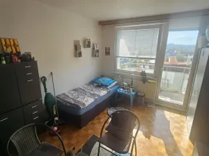 Prodej bytu 1+1, Strakonice - Strakonice II, Dukelská, 35 m2