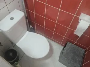 Prodej bytu 1+1, Strakonice - Strakonice II, Dukelská, 35 m2