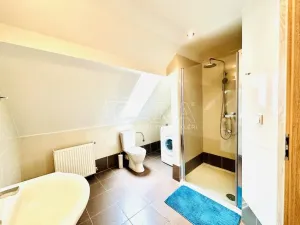 Prodej chalupy, Chlumany, 200 m2