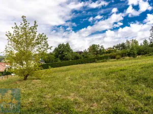 Prodej pozemku pro bydlení, Pozlovice, 5439 m2