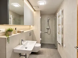 Pronájem bytu 2+kk, Praha, Haenkeho, 43 m2