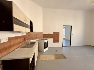 Pronájem bytu 3+1, Plzeň - Vnitřní Město, Zbrojnická, 121 m2