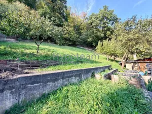 Prodej chaty, Ústí nad Labem - Olešnice, 33 m2
