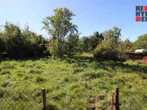 Prodej zahrady, Nové Město pod Smrkem, Husova, 468 m2