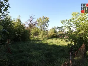 Prodej zahrady, Nové Město pod Smrkem, Husova, 468 m2