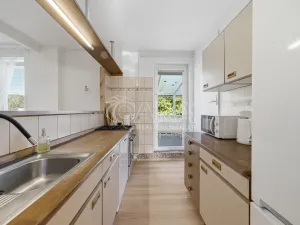 Prodej komerční nemovitosti, Velké Losiny, Komenského, 260 m2