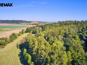 Prodej lesa, Račice nad Trotinou, 31440 m2