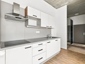 Pronájem vícegeneračního domu, Praha - Uhříněves, Bečovská, 1382 m2