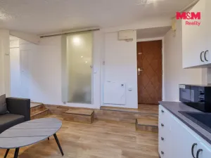 Pronájem bytu 1+1, Mariánské Lázně, Třebízského, 29 m2
