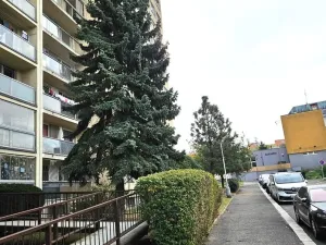 Prodej bytu 2+kk, Praha - Horní Měcholupy, Boloňská, 44 m2