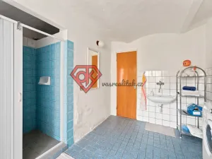 Prodej rodinného domu, Plchovice - Smetana, 200 m2