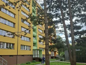Pronájem bytu 1+1, Frýdek-Místek - Místek, Ostravská, 35 m2