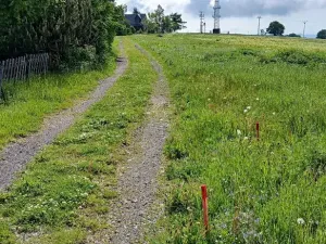 Prodej louky, Osek, 1013 m2