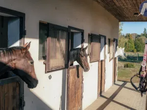 Prodej zemědělské usedlosti, Stříbro, 200 m2
