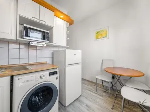 Prodej bytu 2+1, Chodov, Vítězná, 54 m2
