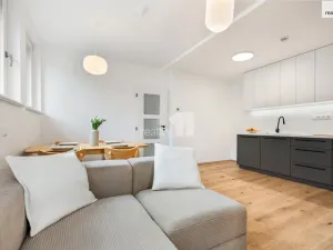 Prodej bytu 1+kk, Rokytnice nad Jizerou - Dolní Rokytnice, 20 m2