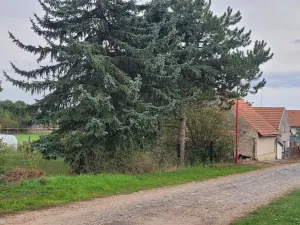 Prodej rodinného domu, Žabovřesky nad Ohří, Ke dráze, 80 m2
