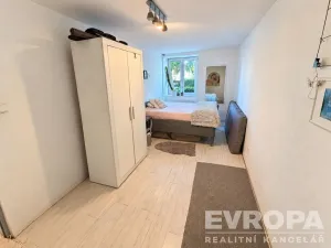 Prodej komerční nemovitosti, Borovy, 500 m2