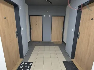 Pronájem bytu 1+kk, Plzeň - Jižní Předměstí, Inženýrská, 50 m2