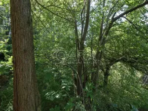 Prodej pozemku pro bydlení, Statenice, Nad Strání, 924 m2