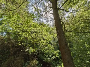 Prodej pozemku pro bydlení, Statenice, Topolová, 354 m2