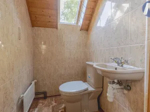 Prodej zemědělského objektu, Stříbro - Lhota u Stříbra, 200 m2
