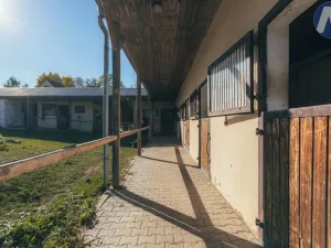 Prodej zemědělského objektu, Stříbro - Lhota u Stříbra, 200 m2