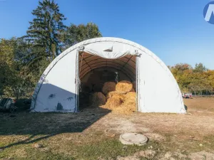 Prodej zemědělského objektu, Stříbro - Lhota u Stříbra, 200 m2