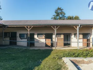 Prodej zemědělského objektu, Stříbro - Lhota u Stříbra, 200 m2