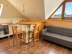 Pronájem bytu 1+kk, Brno, Kohoutova, 50 m2
