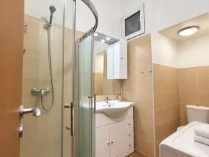 Pronájem bytu 1+kk, Brno, Tučkova, 21 m2