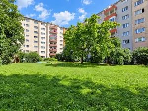 Pronájem bytu 1+kk, Brno, Tučkova, 21 m2