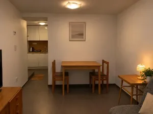 Prodej bytu 1+kk, Brno, Letní, 20 m2