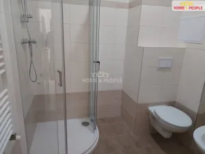 Pronájem bytu 1+kk, Milovice - Mladá, Slepá, 37 m2