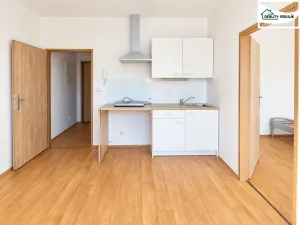 Pronájem bytu 1+1, Cheb, Dragounská, 26 m2