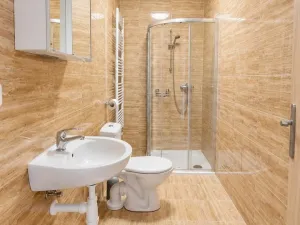 Pronájem bytu 1+1, Cheb, Dragounská, 26 m2