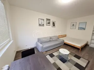 Pronájem bytu 1+kk, Praha - Chodov, Benkova, 30 m2